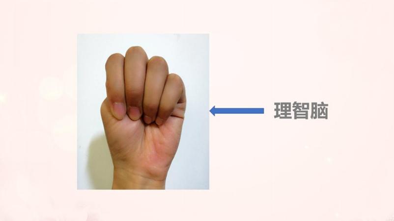 孩子生气、摔东西、哭闹,你知道如何引导他的情绪吗?