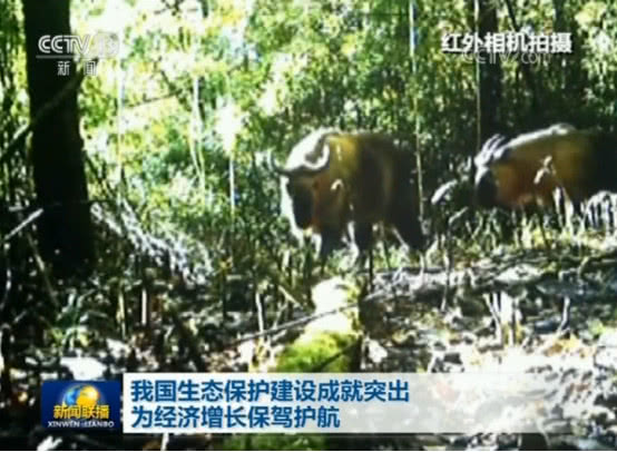 新闻联播抓获毒品素材,新闻联播报道缉毒事件