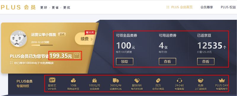 京东爱奇艺,京东爱奇艺运营