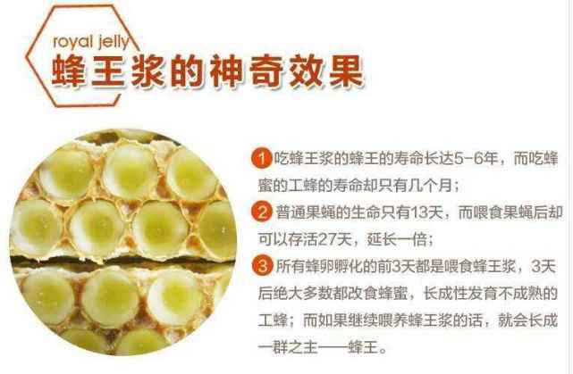 蜂王浆里含了些什么,国外蜂王浆吃了有什么好处呢