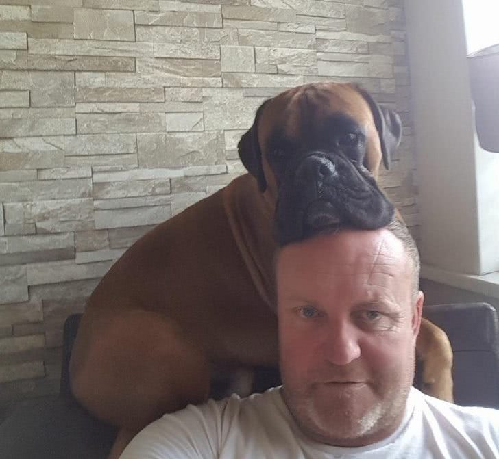 狗狗叼个东西不愿意放,狗狗叼过来的东西他们不觉得脏吗