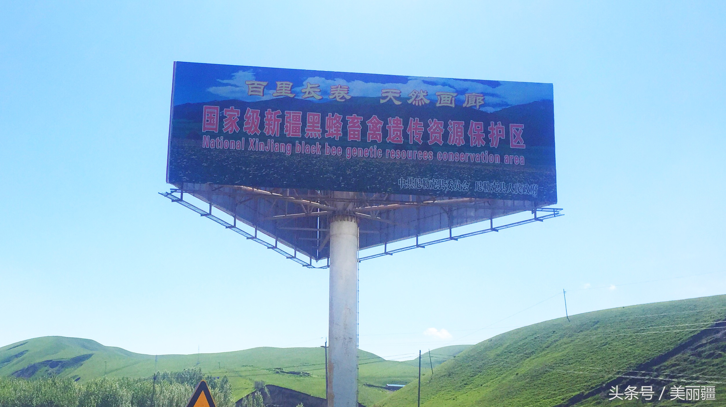 新疆黑蜂基地伊犁,新疆尼勒克县黑蜂蜂蜜