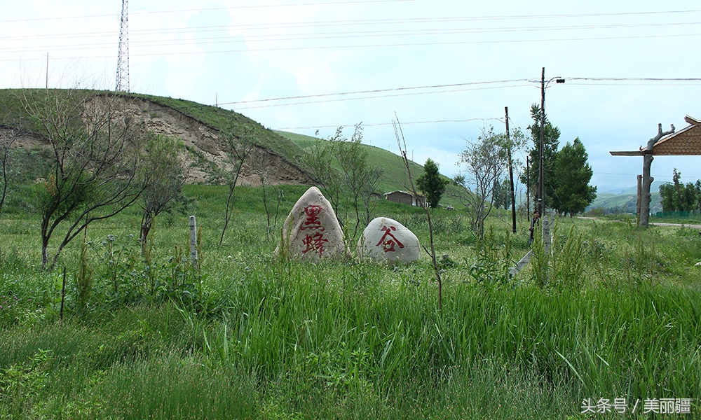 新疆黑蜂基地伊犁,新疆尼勒克县黑蜂蜂蜜
