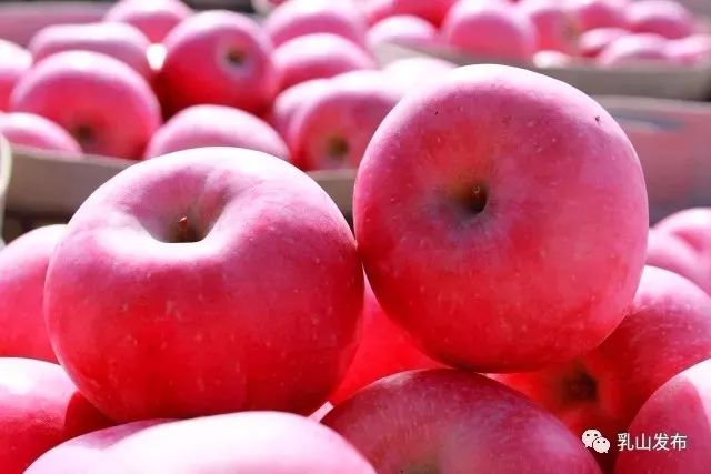 山东乳山十大名村,乳山十大名吃排行榜