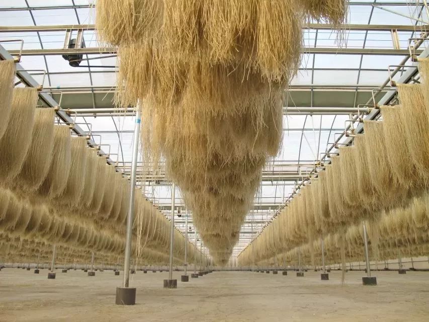 山东乳山十大名村,乳山十大名吃排行榜