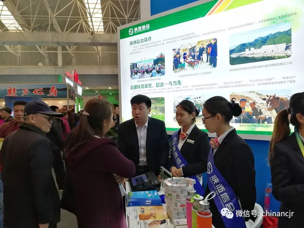 普惠金融行业发展报告,2023年普惠金融发展形势