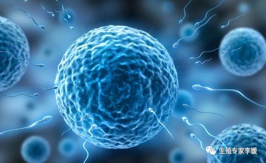 人类精子有多少亿,人类精子里面有多少个dna