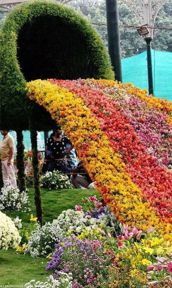 今天7月19，太美了！绝美送给群里好友！看完心情大好~