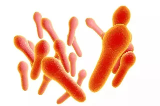 夏天被擦伤的伤口正确处理方法,被擦伤了伤口怎么处理最快好