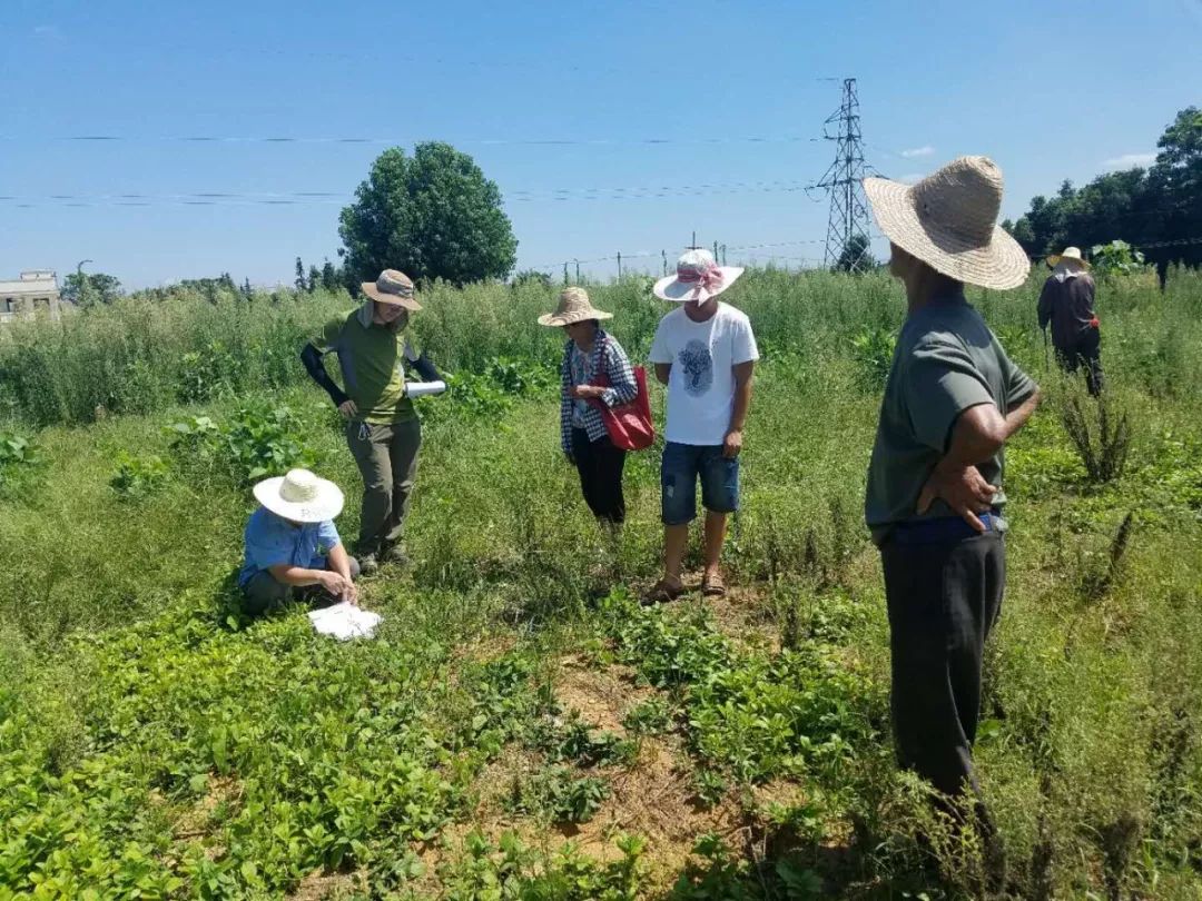 简讯视频每日要闻,简讯今日要闻