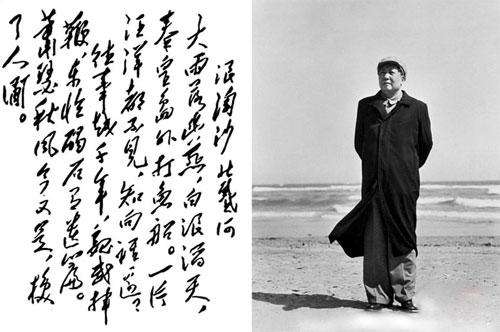 「区域优势独特」河北省堪称北方茶产业综合走势的晴雨表