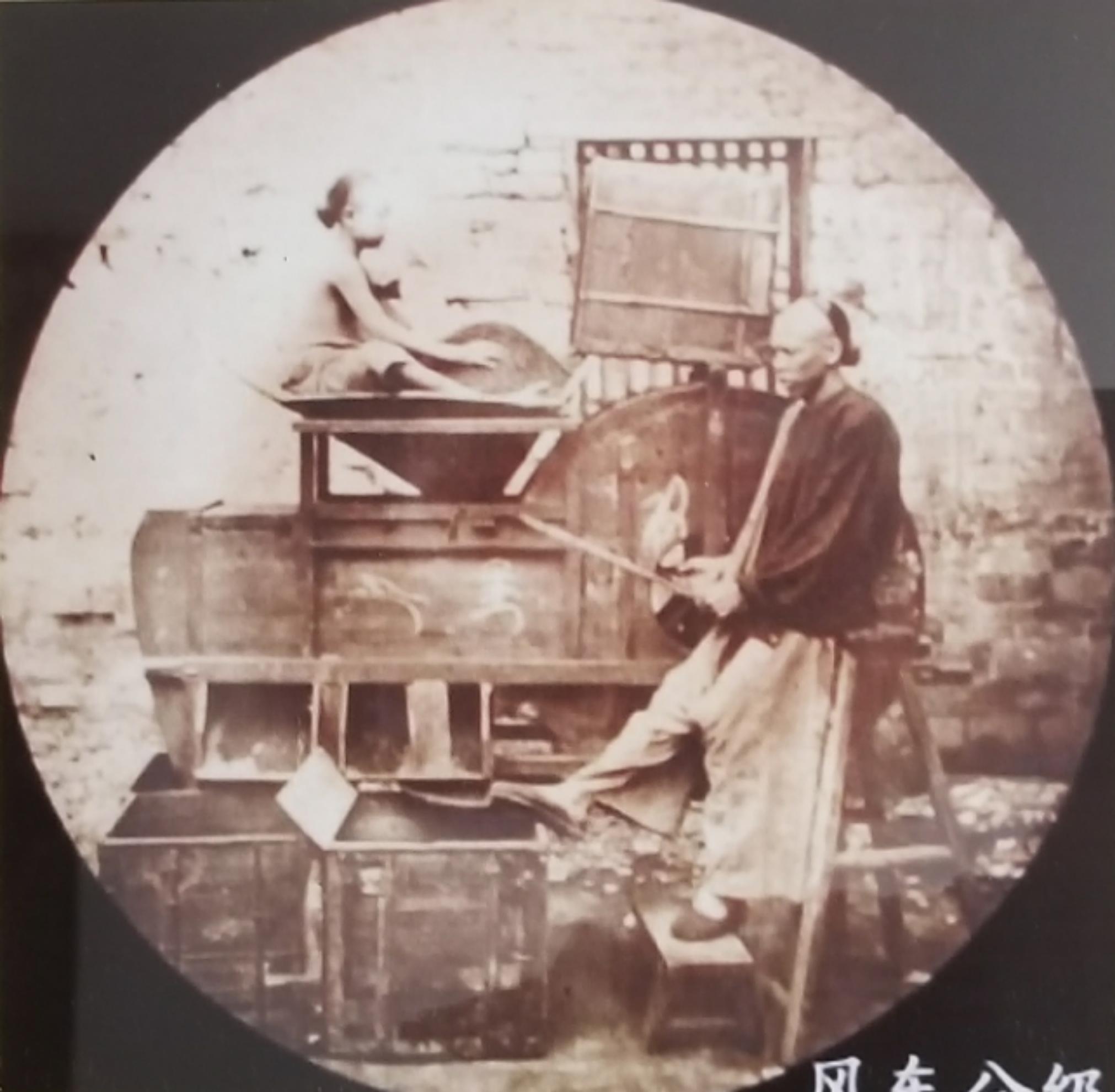 「区域优势独特」河北省堪称北方茶产业综合走势的晴雨表