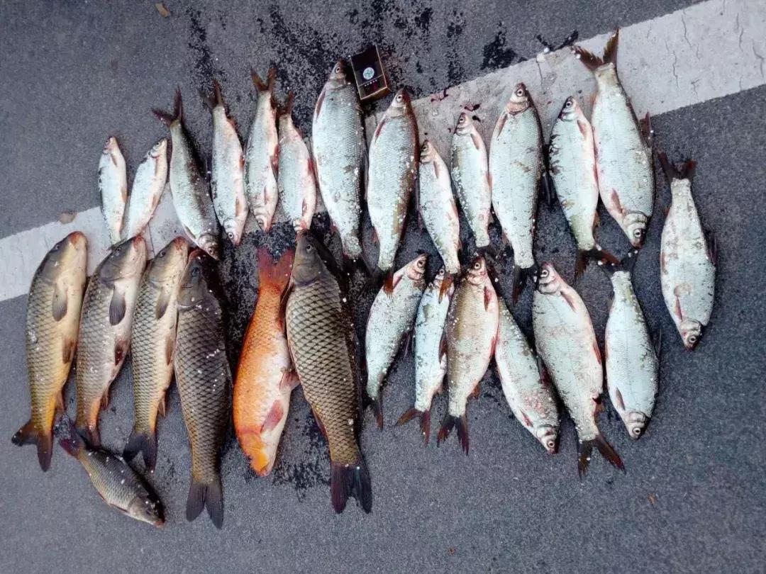 合肥周边避暑好去处,合肥周边夏天避暑最佳旅游地