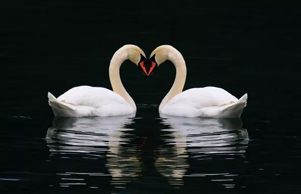 给古诗加音乐,给古诗词配背景音乐