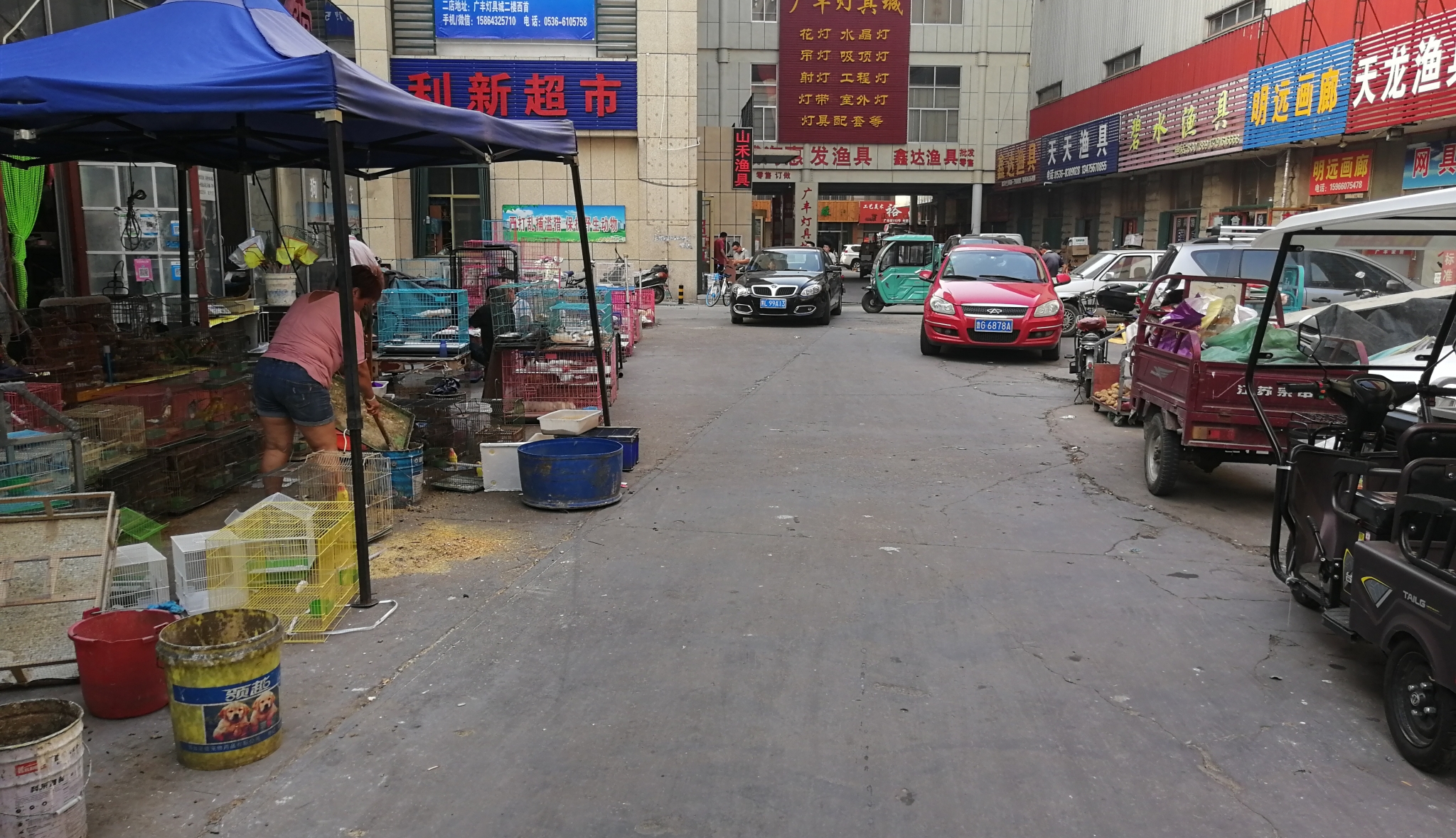 潍坊最大的宠物市场在哪里,潍坊宠物市场在哪个位置