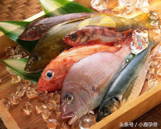 胆固醇高吃辅酶q10有降低胆固醇吗,胆固醇高血脂高要注意哪些饮食