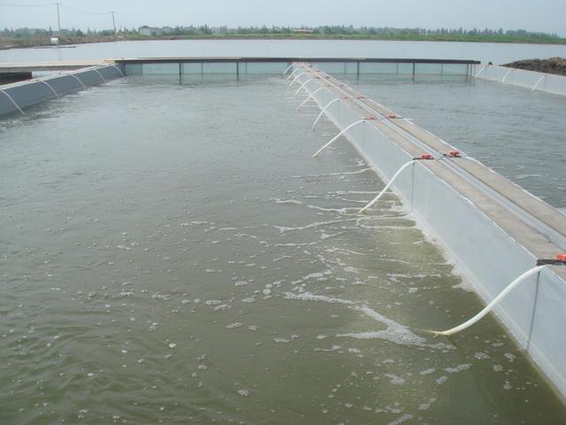 水库养鱼怎么利益最大化,水库养鱼如何提高效益