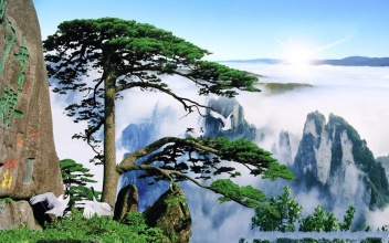 黄山空气质量全国排名,2024年黄山空气质量全国排名