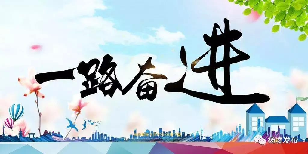 总理关心的“放管服”工作，杨凌干得怎么样？