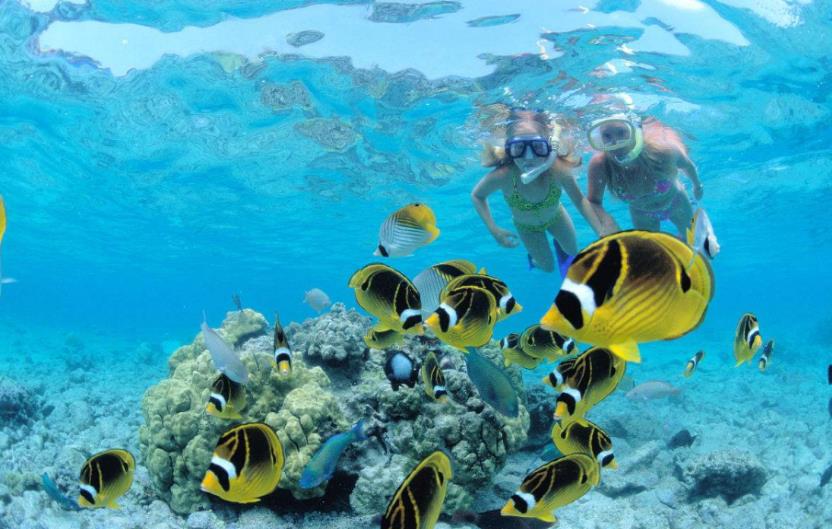 去马尔代夫不会游泳怎么办,去马尔代夫玩不住酒店可以吗