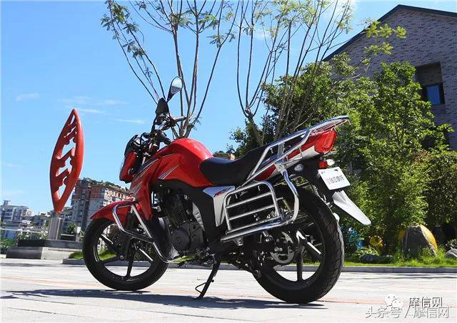 钱江龙御龙猛龙飞龙哪个好,猛龙御龙钱江龙