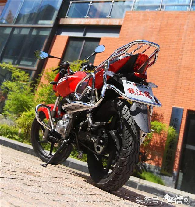 钱江龙御龙猛龙飞龙哪个好,猛龙御龙钱江龙