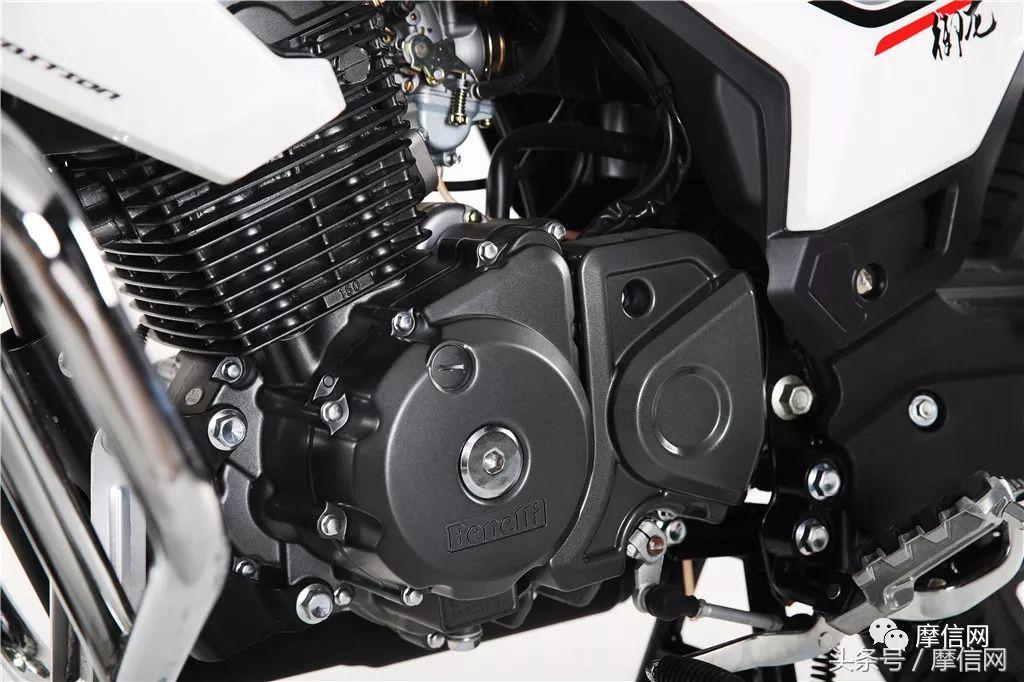 钱江龙御龙猛龙飞龙哪个好,猛龙御龙钱江龙