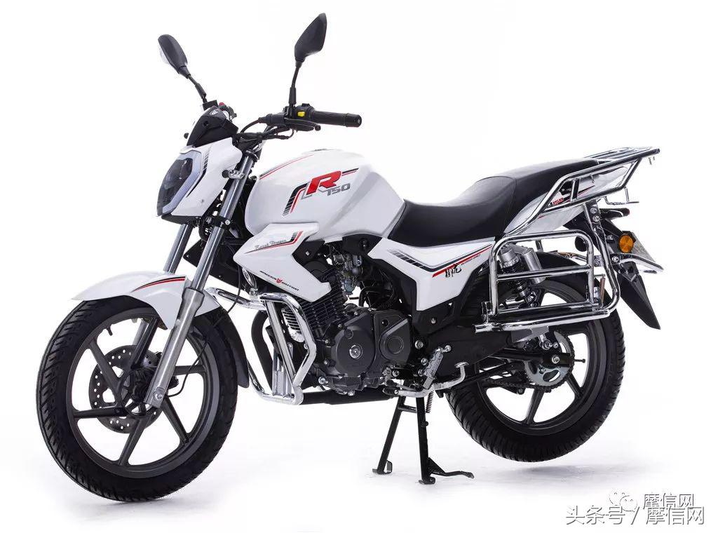 钱江龙御龙猛龙飞龙哪个好,猛龙御龙钱江龙