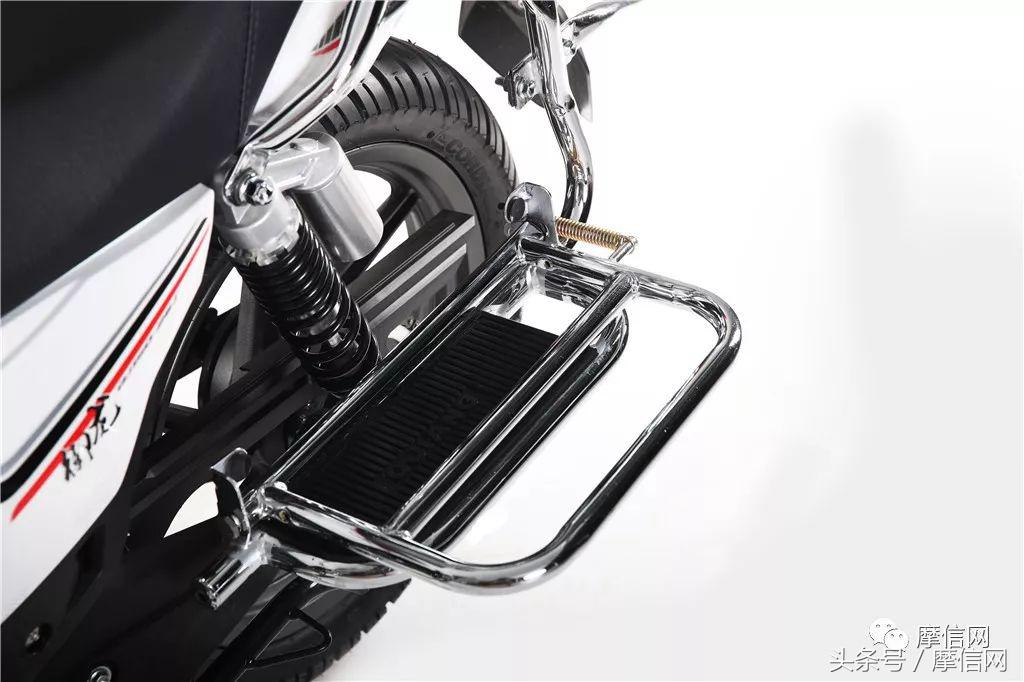 钱江龙御龙猛龙飞龙哪个好,猛龙御龙钱江龙