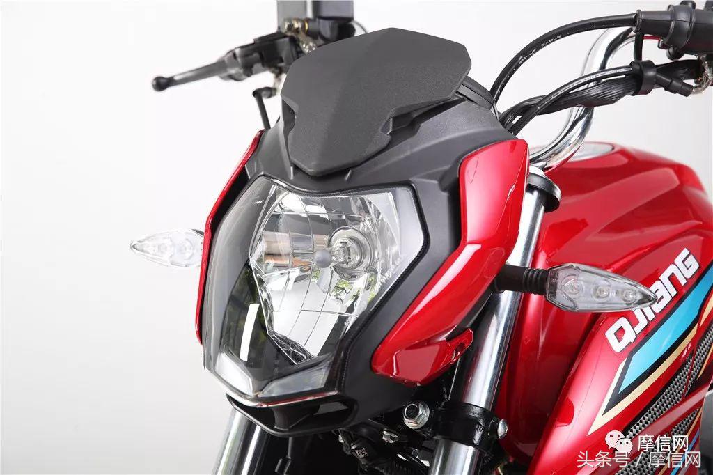 钱江龙御龙猛龙飞龙哪个好,猛龙御龙钱江龙