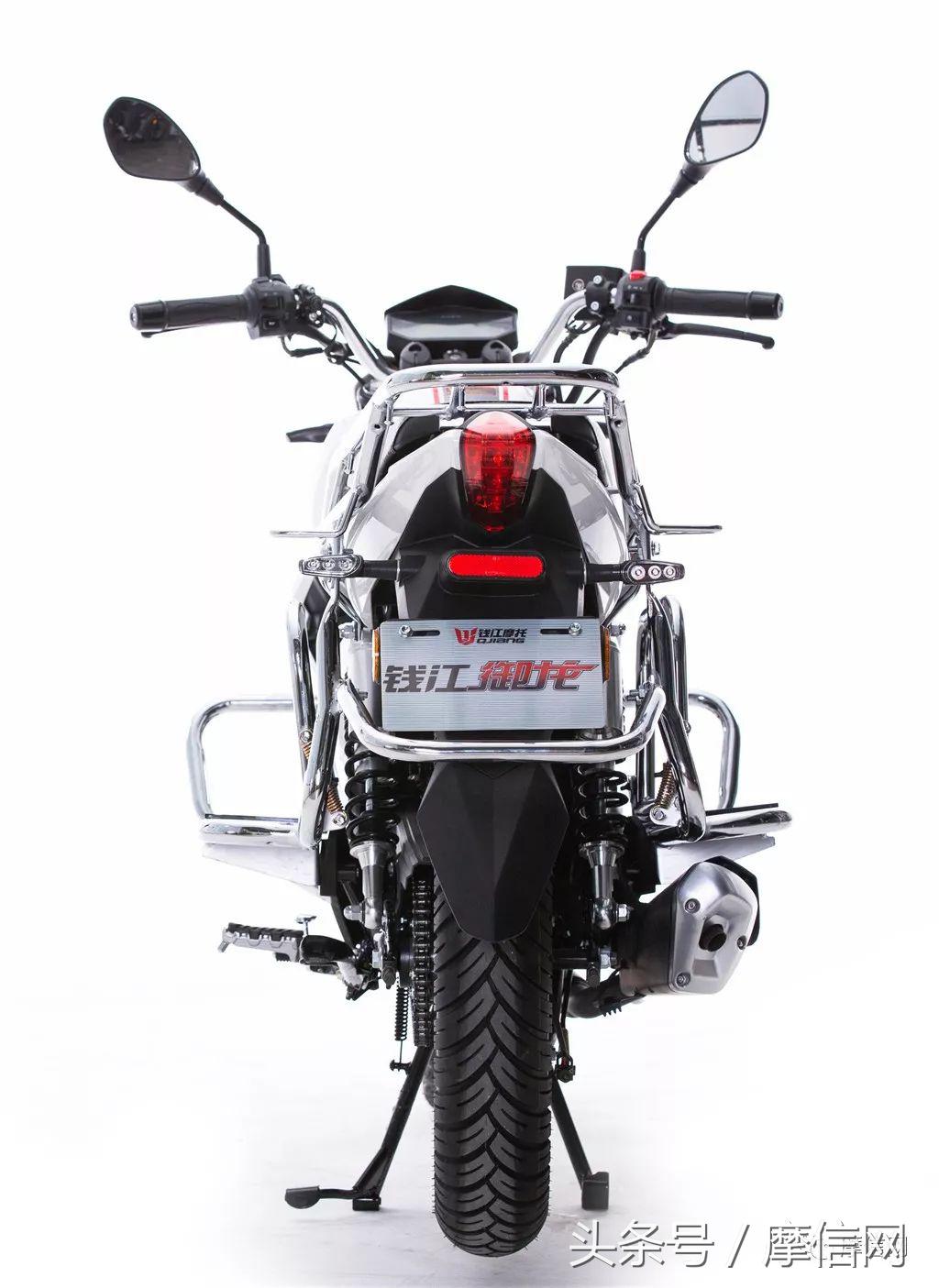 钱江龙御龙猛龙飞龙哪个好,猛龙御龙钱江龙