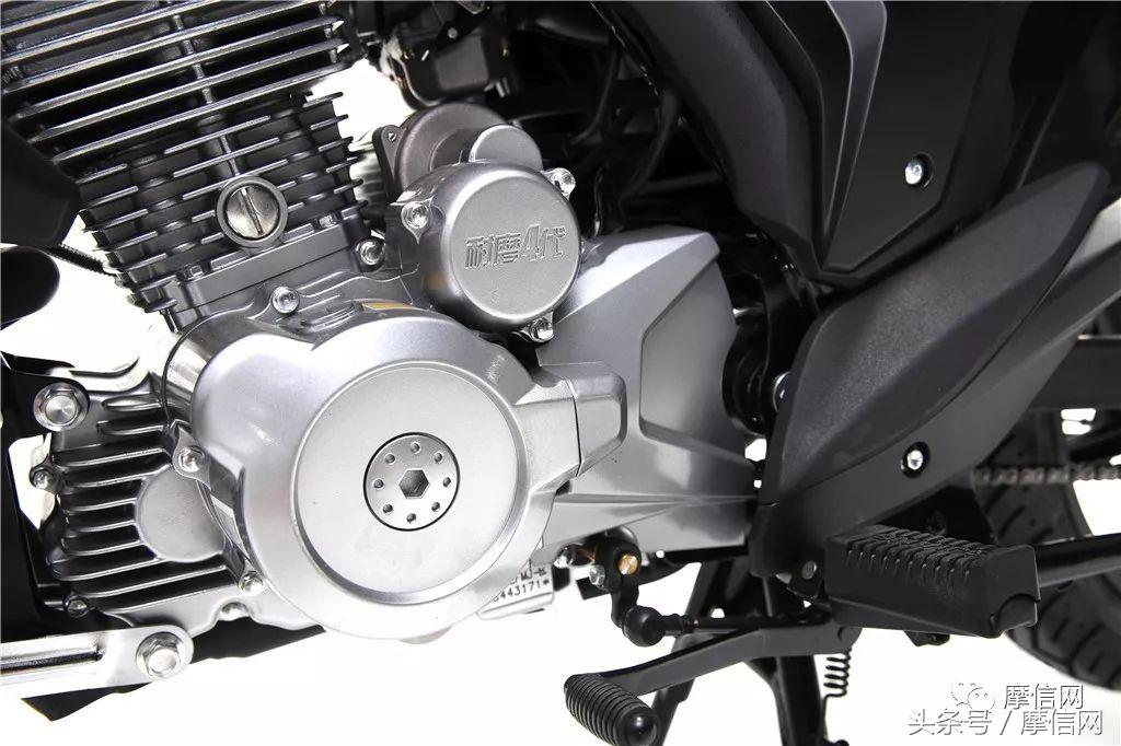 钱江龙御龙猛龙飞龙哪个好,猛龙御龙钱江龙