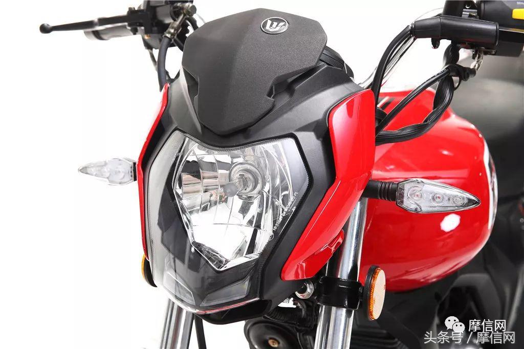 钱江龙御龙猛龙飞龙哪个好,猛龙御龙钱江龙