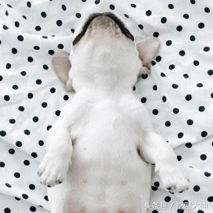 向喜欢的女生表白对方没表态,对喜欢的人告白没反应