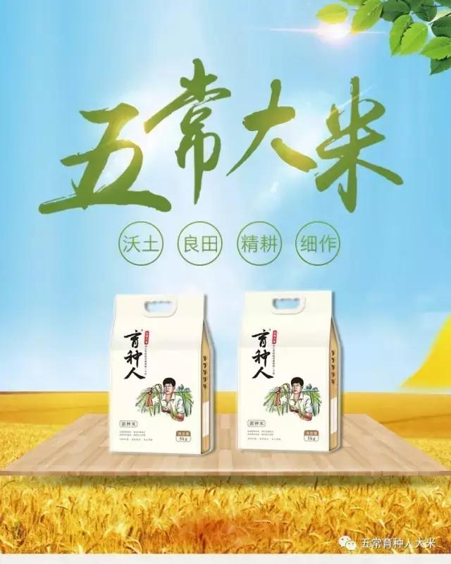 有机大米和东北大米哪种好,五常大米稻花香2号有机大米