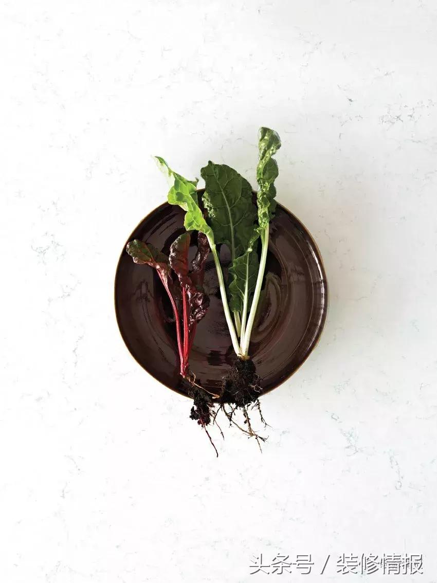 石英石台面都什么样儿的,石英石台面贵的和便宜的差别在哪