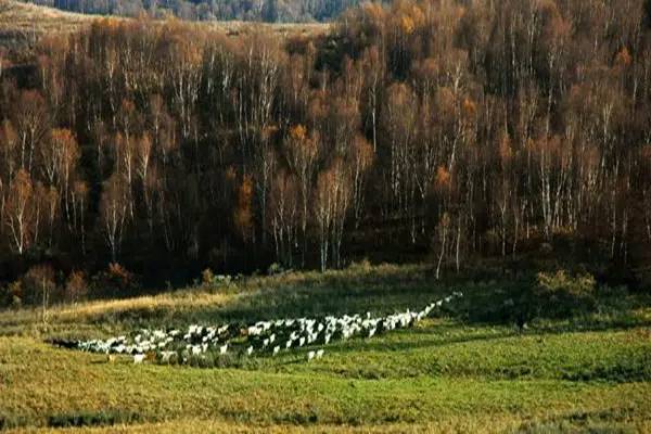 太原自驾两日游去哪里玩最合适,太原自驾游3-4天最佳路线不进景区