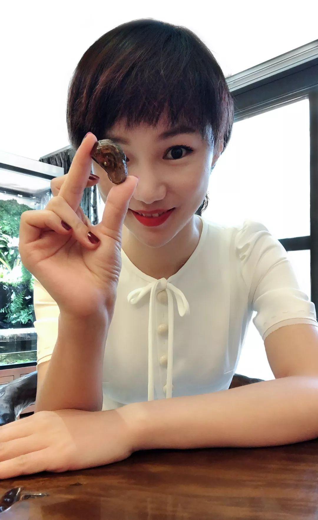 琥珀里的珍稀植物,琥珀发现新物种