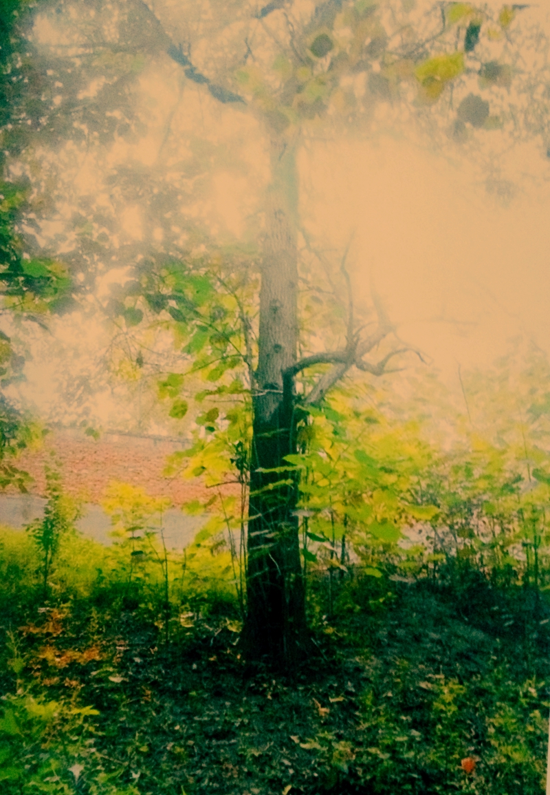 安宁晋福小县城,安宁晋福怎么样