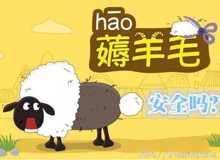 七星手机连锁收手机吗,七星手机连锁买贵了可以退吗