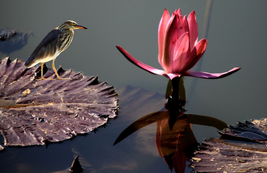 「新诗采撷」陈家声｜茫然的守候（外两首）