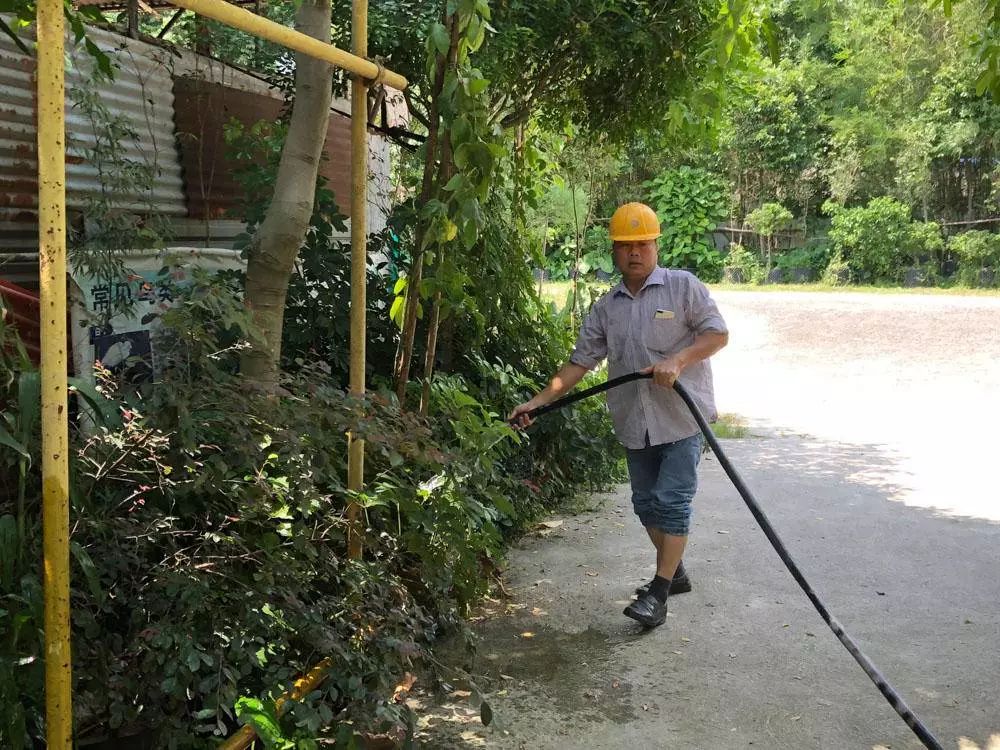 广东佛山鸟叔的视频,顺德鸟叔全景图