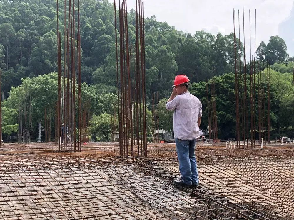 广东佛山鸟叔的视频,顺德鸟叔全景图