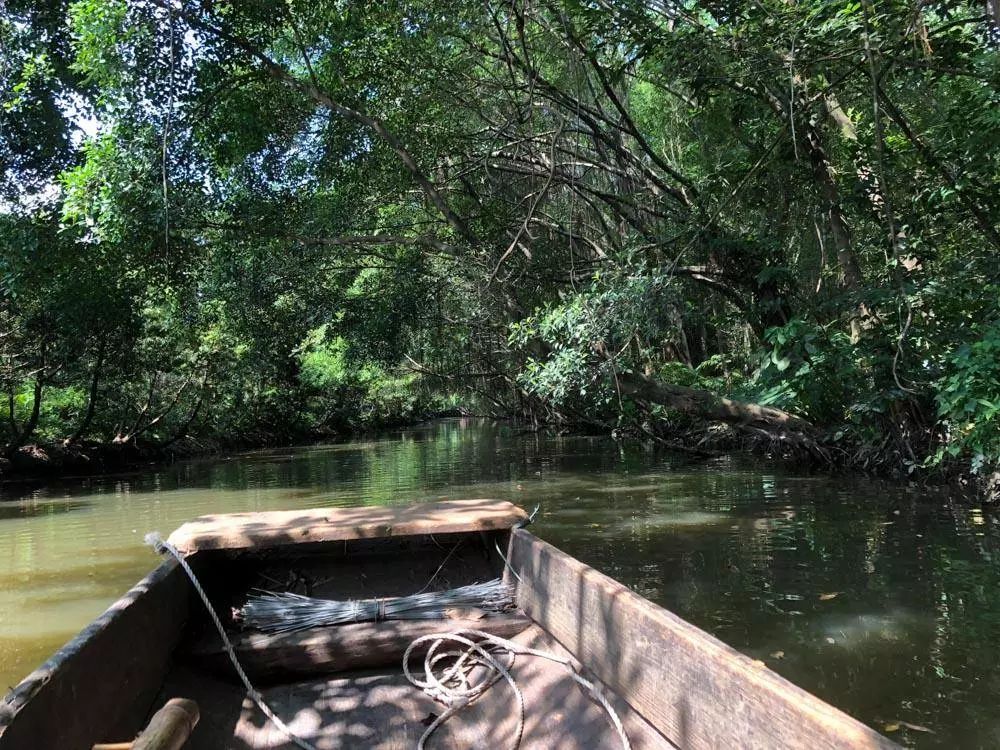 广东佛山鸟叔的视频,顺德鸟叔全景图