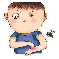 夏季虫咬怎么处理,夏季为什么老是有皮炎