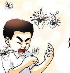 夏季虫咬怎么处理,夏季为什么老是有皮炎