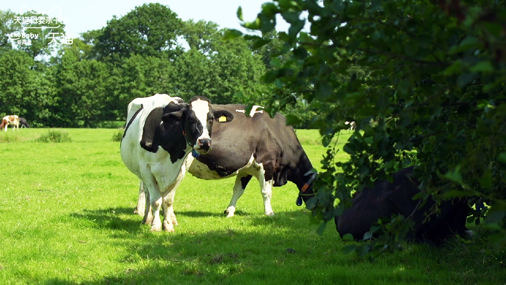 遇见爱荷美育见有机