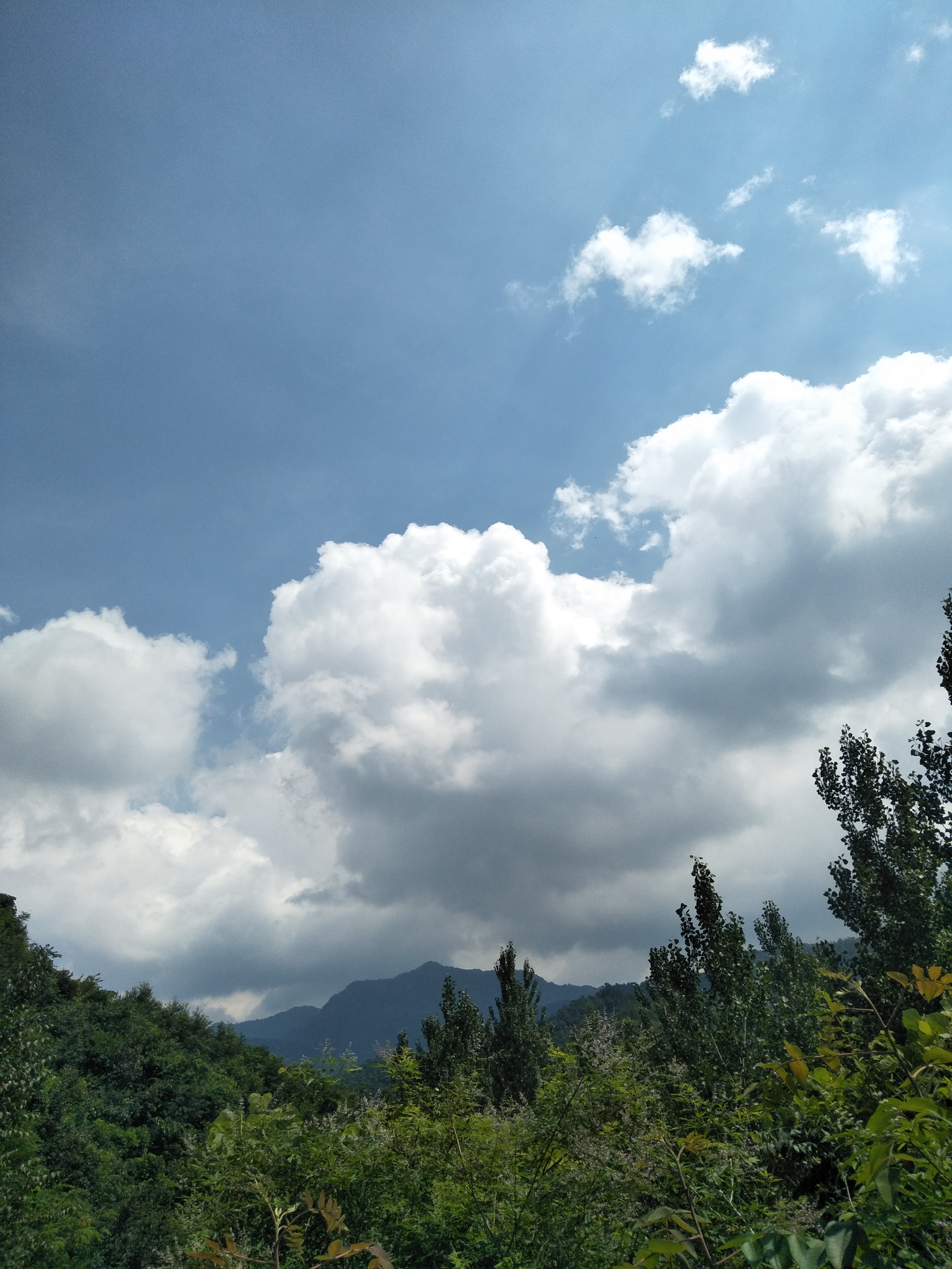 宝天曼景区最佳旅游季节,南召县宝天曼风景区