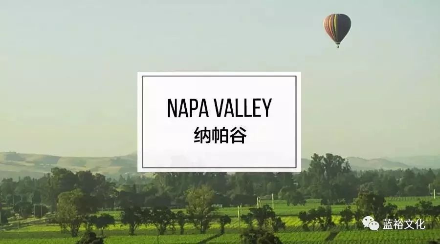 纳帕值得买的红酒,纳帕产区红酒
