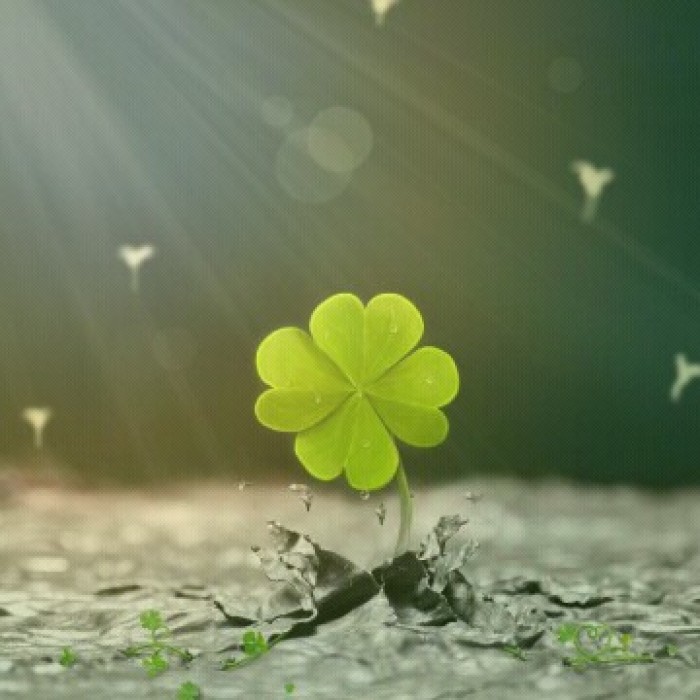 退伍军人创业补贴怎么申请,退伍军人创业贷怎么申请